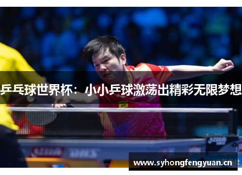 乒乓球世界杯：小小乒球激荡出精彩无限梦想