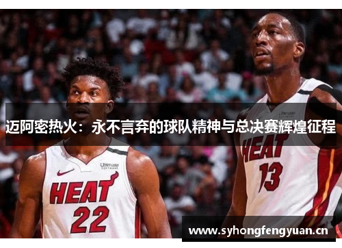 迈阿密热火：永不言弃的球队精神与总决赛辉煌征程