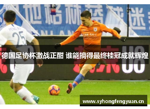 德国足协杯激战正酣 谁能摘得最终桂冠成就辉煌