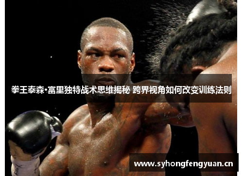 拳王泰森·富里独特战术思维揭秘 跨界视角如何改变训练法则