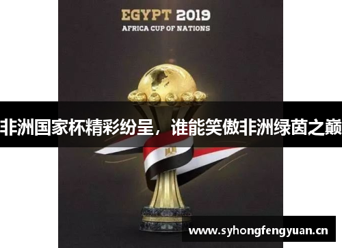 非洲国家杯精彩纷呈，谁能笑傲非洲绿茵之巅